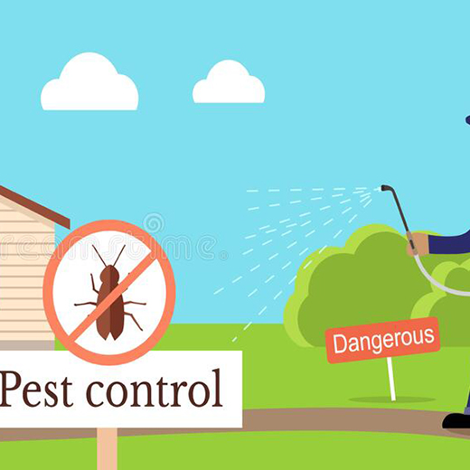 Pest Control Services